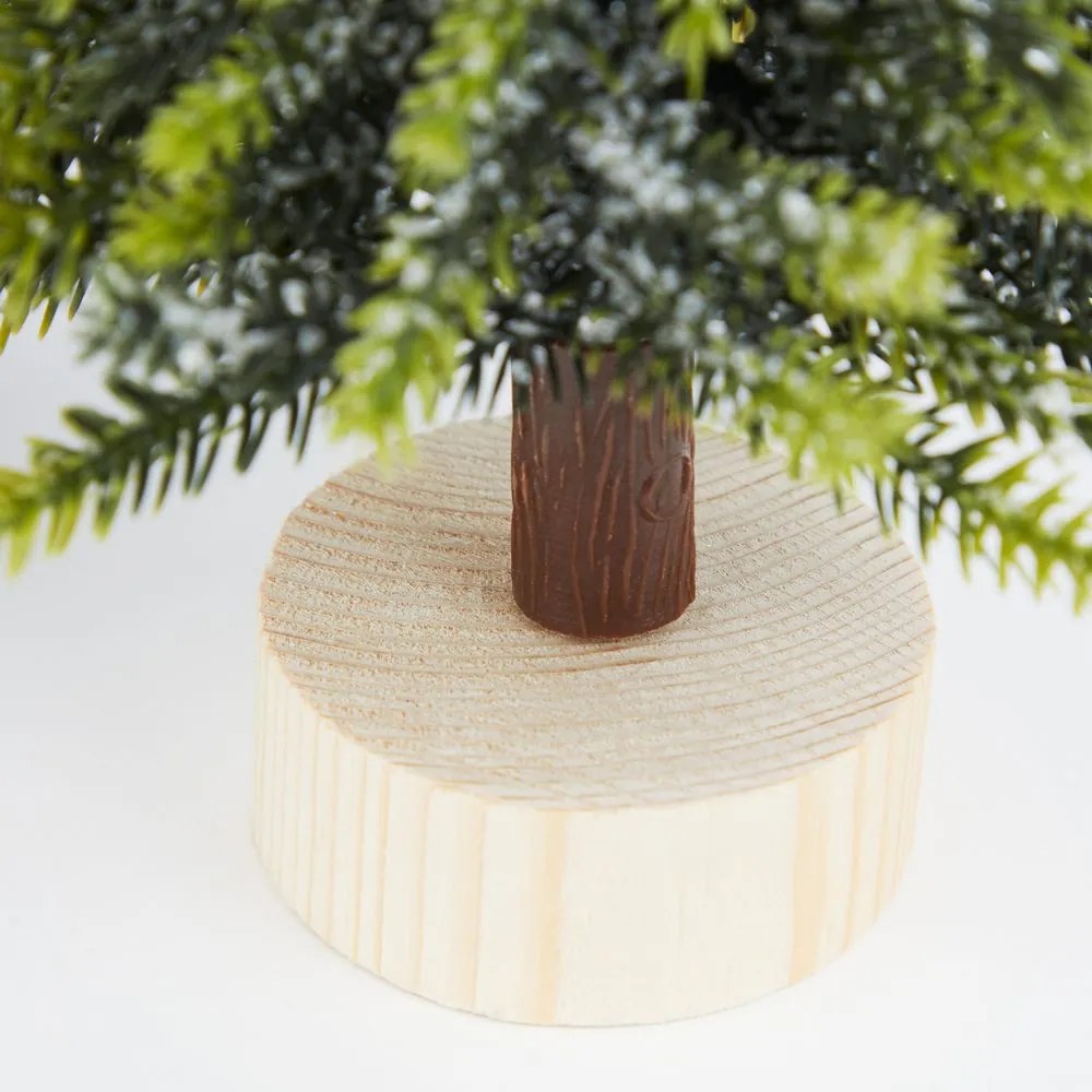 TREE OF THE MONTH fenyőfa talpon 19 cm