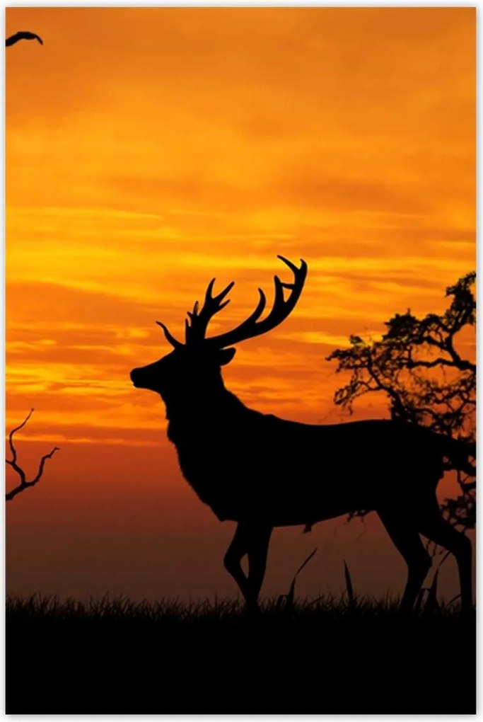 Poszterek 60x90 Szarvas