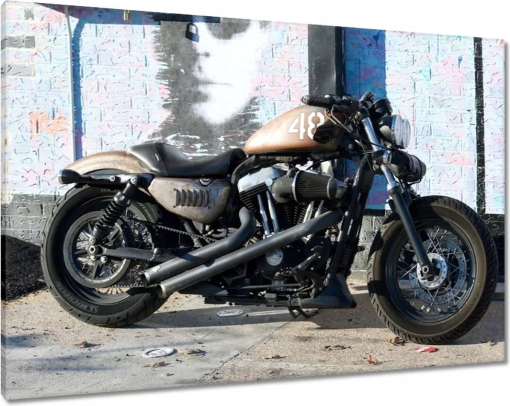 Képek 100x70 Erőteljes motorkerékpár