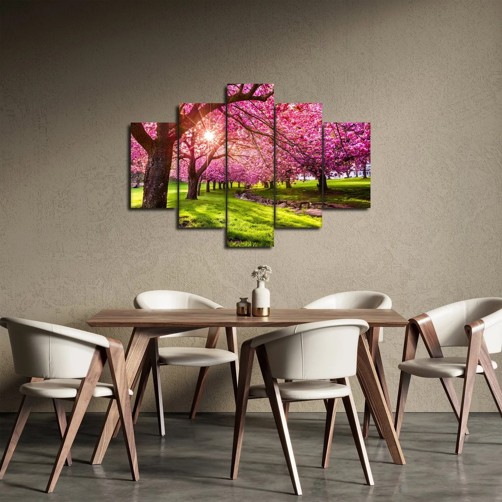 A virágzó cseresznye képe, Hurd Park, Dover, New Jersey (150x105 cm)