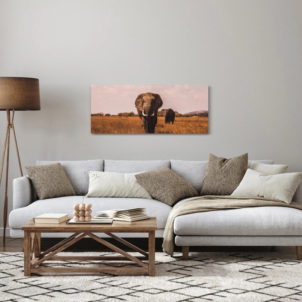 Kép - Az elefánt érkezése (120x50 cm)