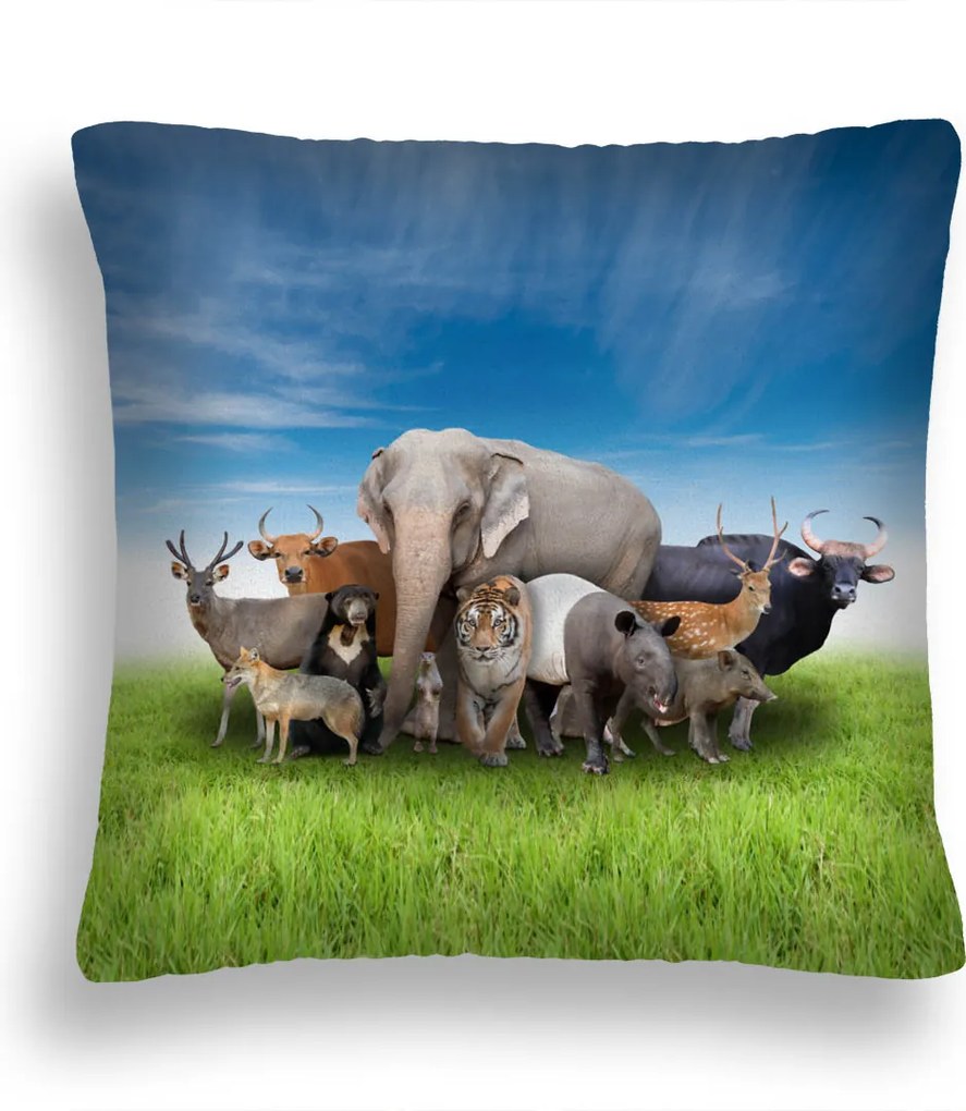 Párna 19 Afrikai Állatok Zöld Kék 50X50