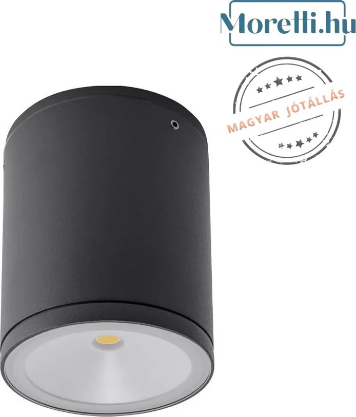 REDO 9599 ETA Modern Kültéri Mennyezeti Lámpa LED IP54