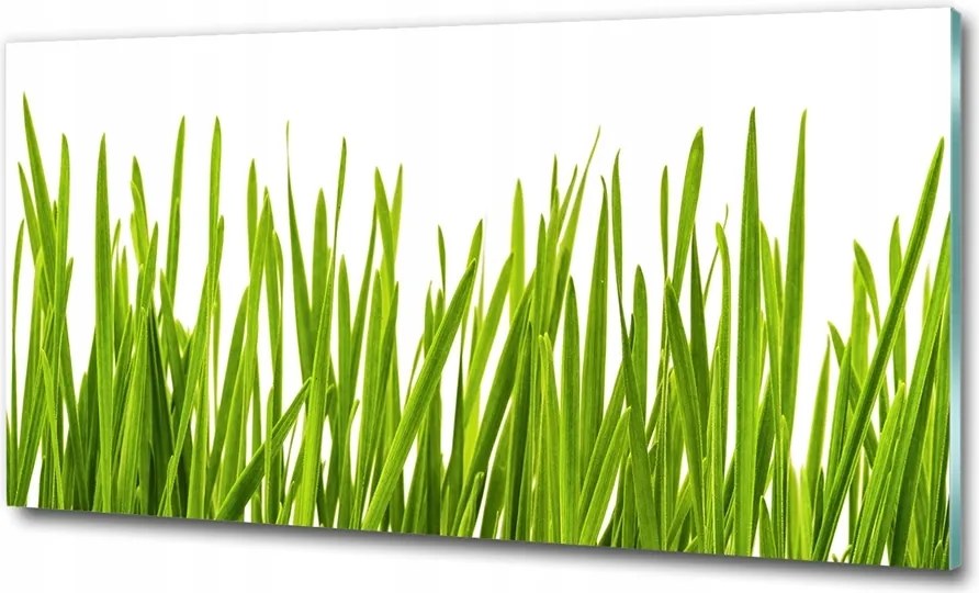 Fotó kép fotó edzett üveg Fű 125x50