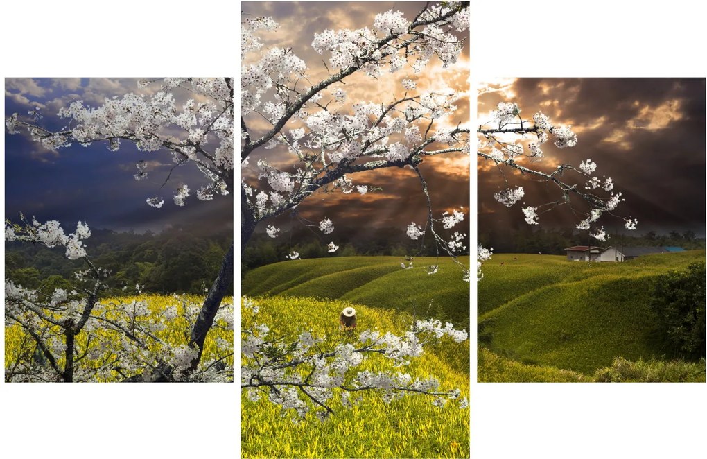 Kép - Virágzó fa az országban (90x60 cm)