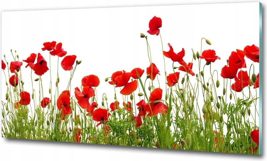 Fotó vászonkép edzett üveg Orchidea 100x70