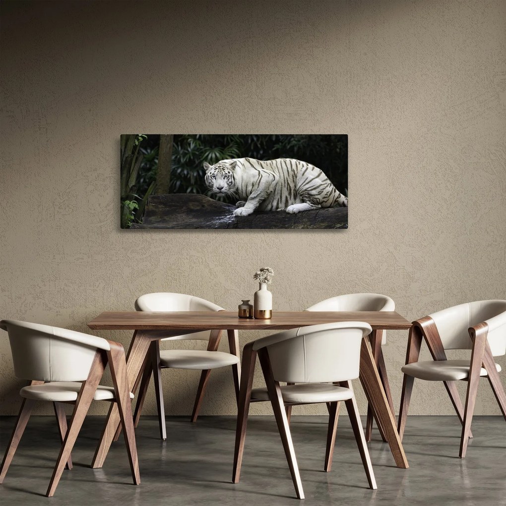 Kép - albínó tigris (120x50 cm)