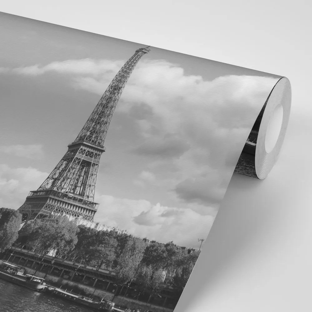 Fototapeta gyönyörű fekete-fehér Párizs panoráma