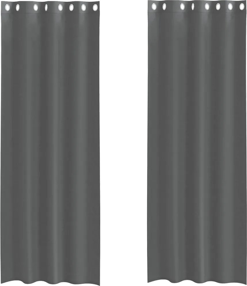 vidaXL 2 db sötétszürke fátyolfüggönyök rojtokkal 140x300 cm