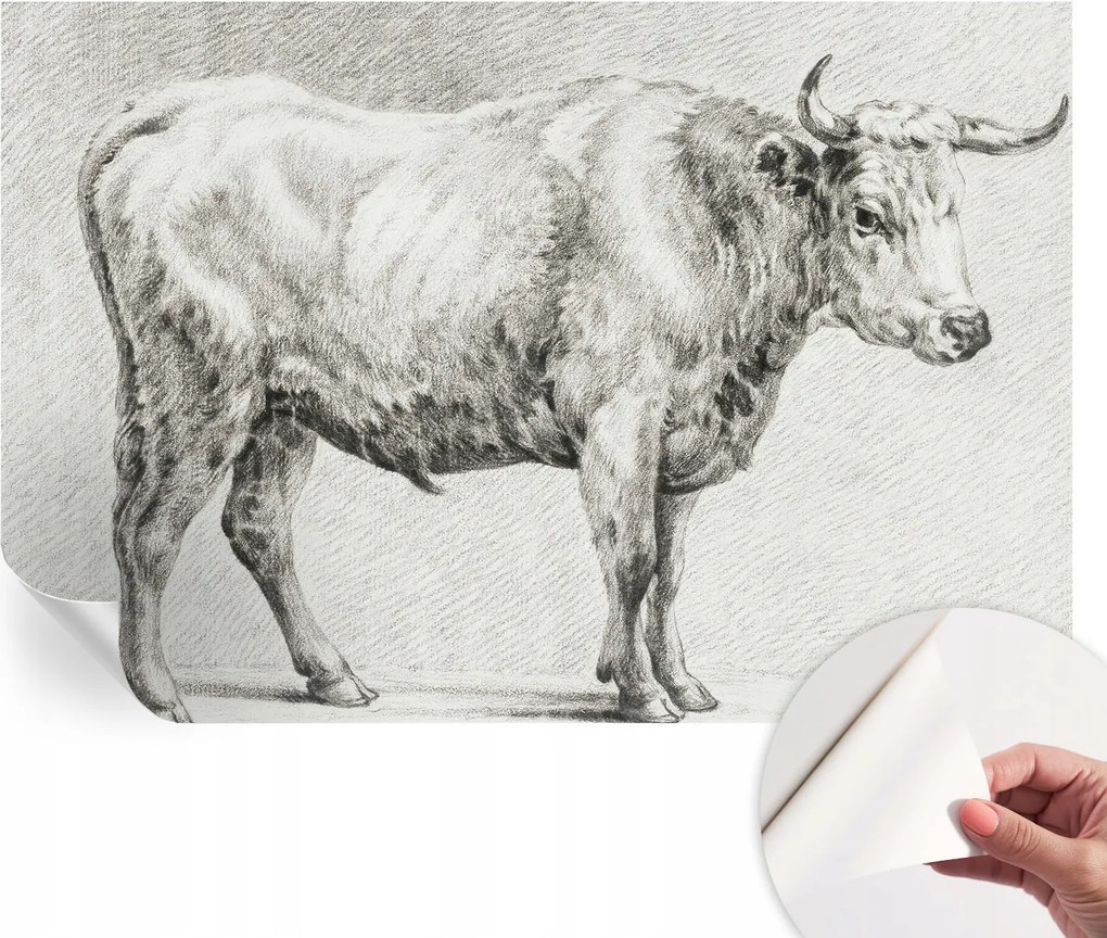 Modern fali fotótapéta konyhába nappaliba Hálószoba Bika ceruza 104x70