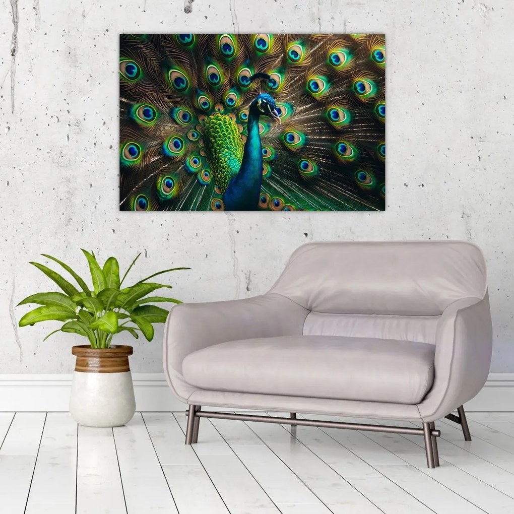Kép – Pávatoll (90x60 cm)