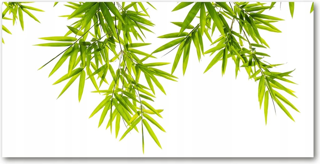 Fotó kép edzett üveg bambusz levelek 140x70