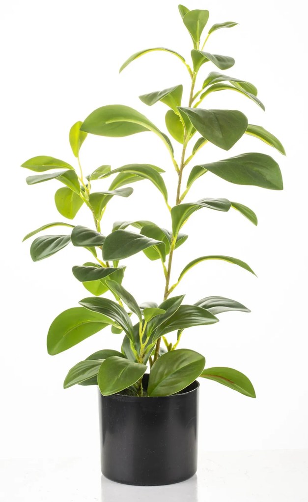 Fekete cserepes zöld babérmeggy műnővény élethű művirág levelekkel 42x25x15cm