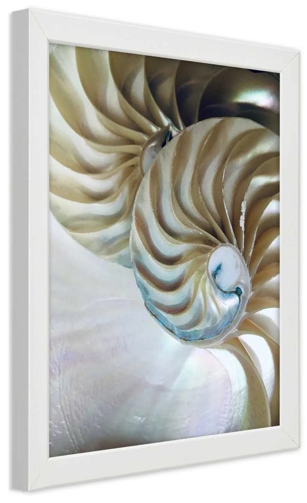 Gario Poszter Egy kagyló belseje A keret színe: Fekete, Méret: 70 x 100 cm