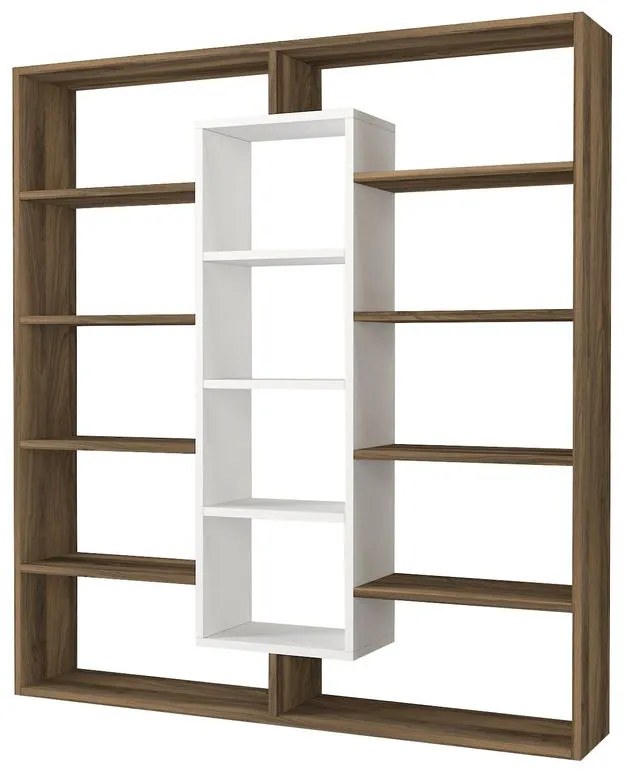 könyvespolc Ample - Walnut, White