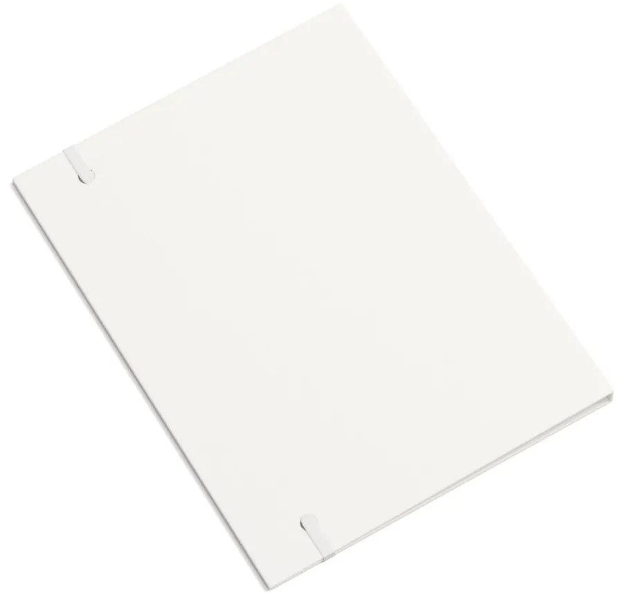 Karton rendszerező dokumentumokhoz Paulina Paper Laminate A4 – Bigso