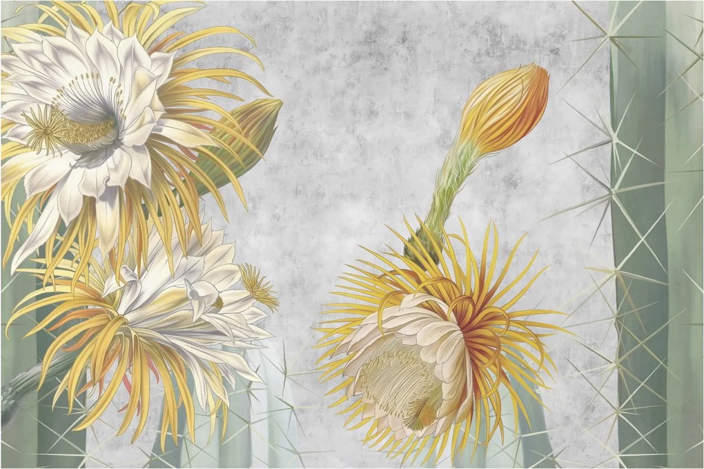 Kép - virágzó kaktuszok (90x60 cm)