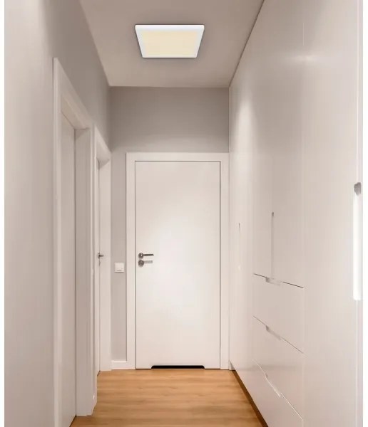 Globo 12380-24W - LED Mennyezeti lámpa LASSE LED/24W/230V 3000/4000/6500K fehér