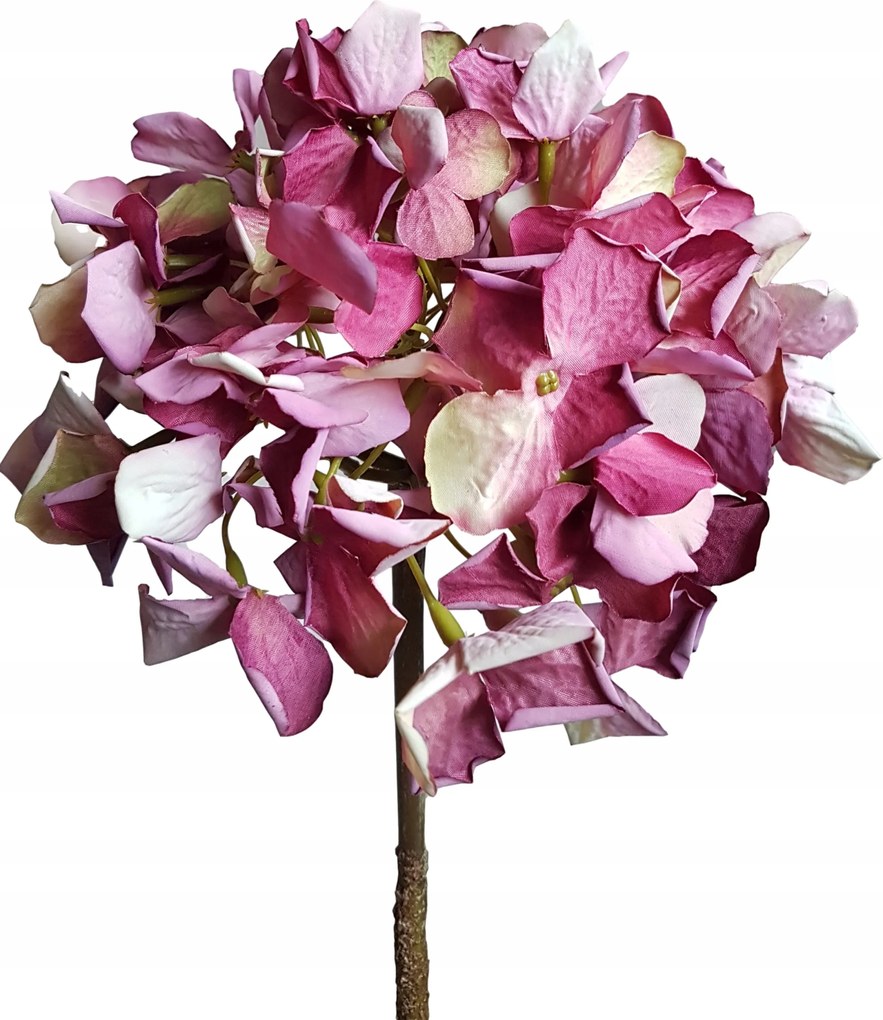 Hortenzia hortenzia ág bordó művirág