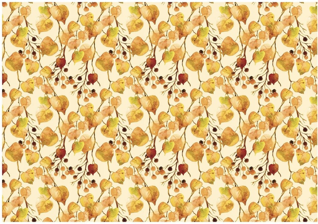 Fotótapéta színes levelek fotótapéta 368 x 254