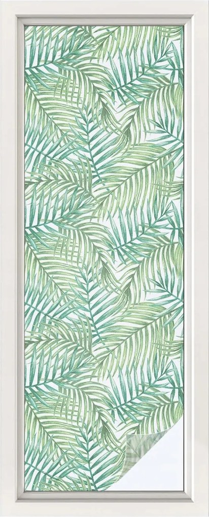 Furnérfólia Adatvédelem Szélvédőkhöz és Ablakokhoz Zöld páfrány 50x146