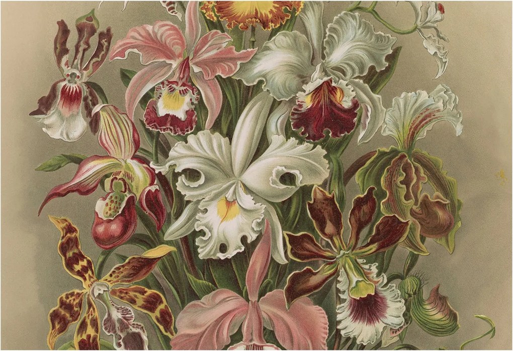 Fotótapéta Flizelin Design Divatos Virágos elegancia 152x104 Ragasztó