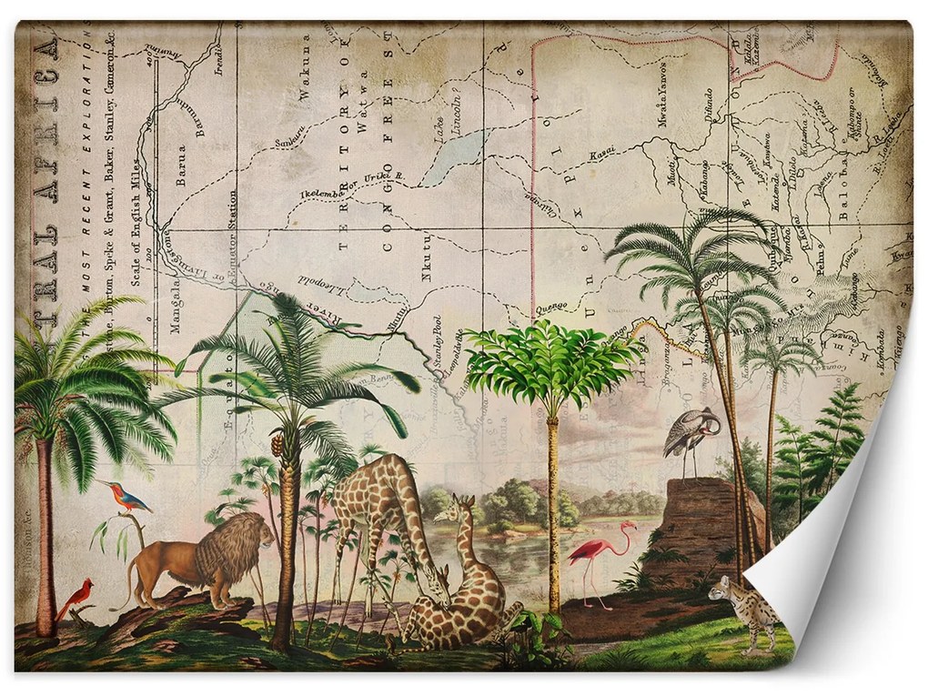 Gario Fotótapéta Vadállat séta - Andrea Haase Anyag: Vlies, Méret: 400 x 280 cm