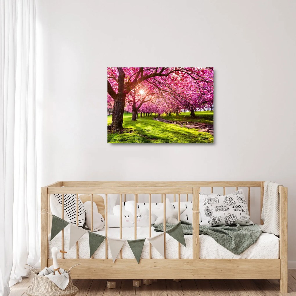 A virágzó cseresznye képe, Hurd Park, Dover, New Jersey (üvegen) (70x50 cm)
