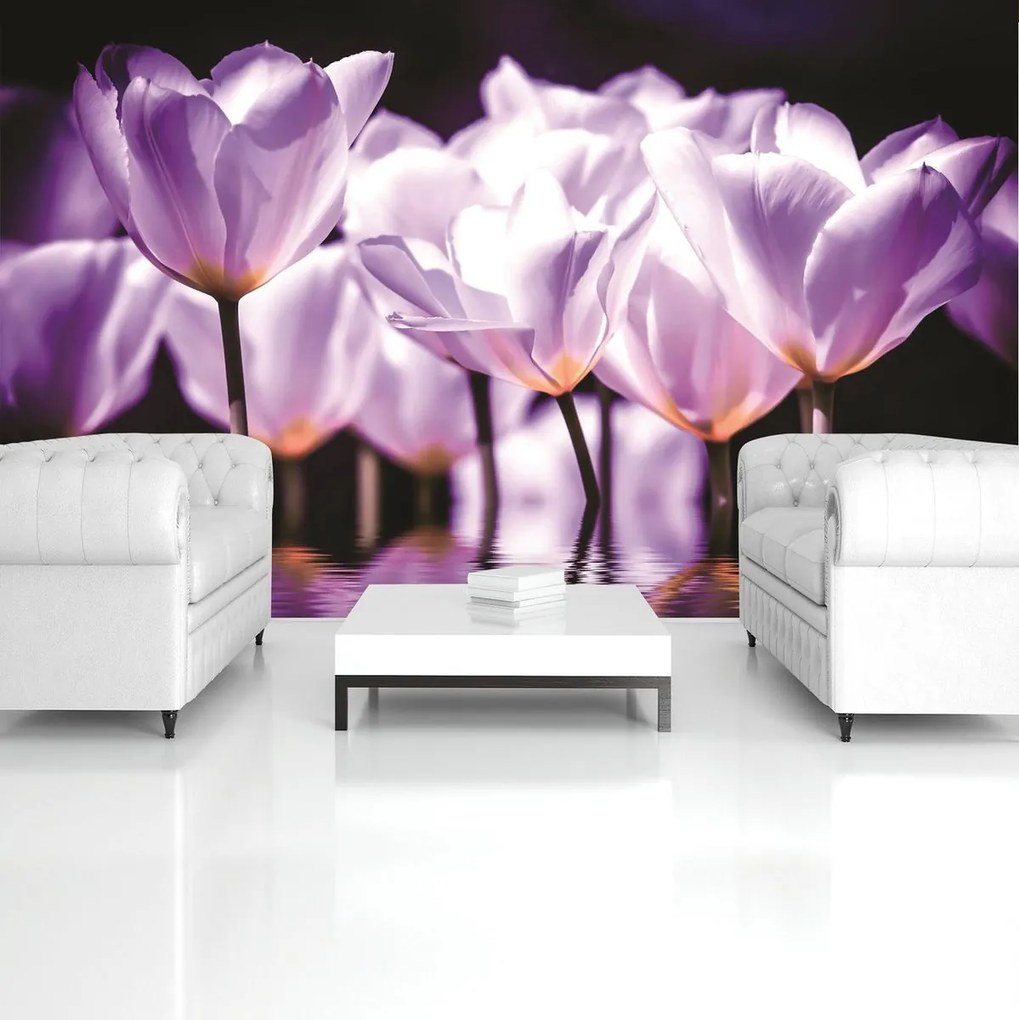 Fotótapéta - Virágok - lila árnyalat (254x184 cm)