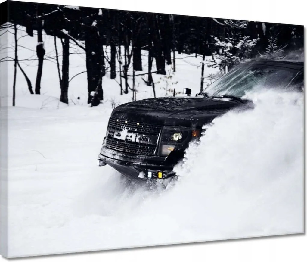 Vászonkép 40x30 Szórakozás a hóban Tél