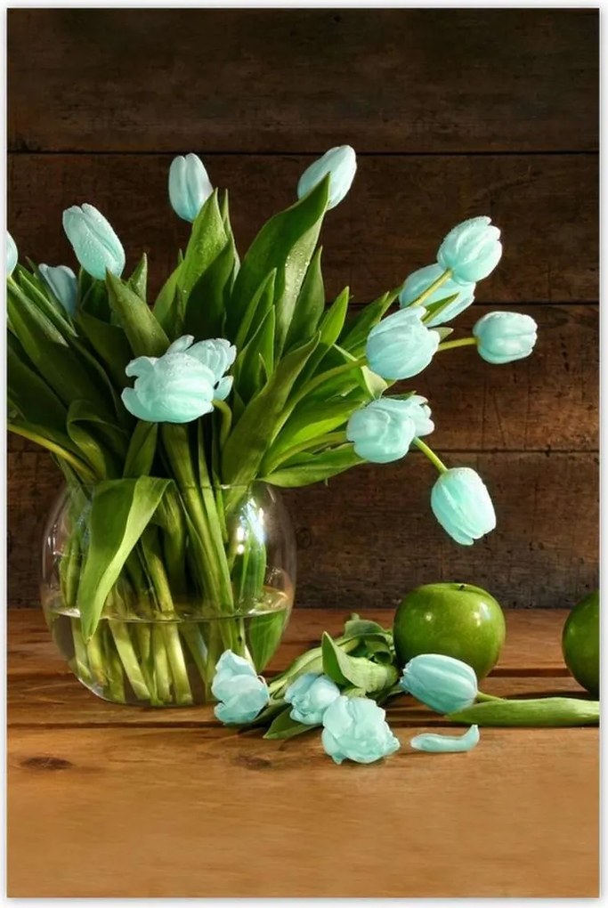 Poszterek 80x120 Menta tulipánok