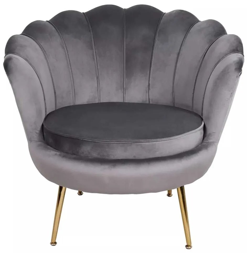 Ionia Velvet fotel, szürke