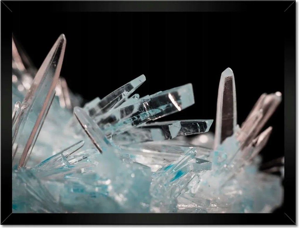 Poszterek keretben 40x30 Makrofotó MacroFoto