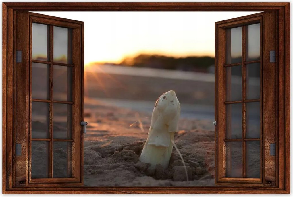 Poszterek 60x40 Spárga növekedés