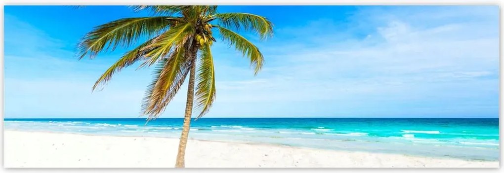 Poszterek 200x66 Trópusok Tájkép Pálma