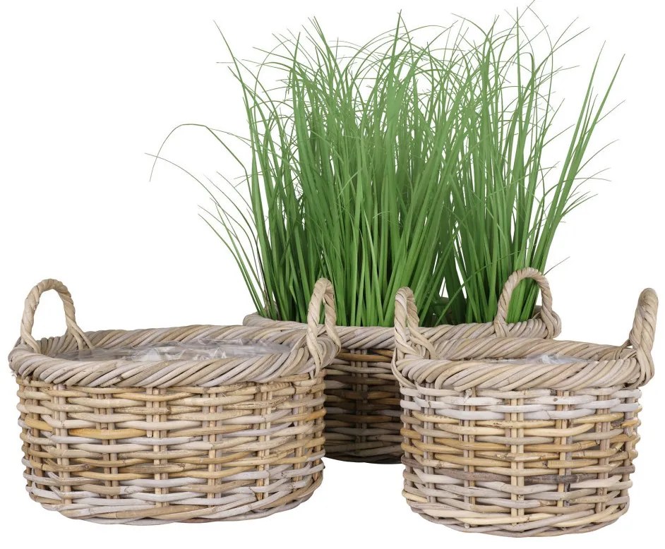 Kuta kosarak, kubu rattan, natúr 3db