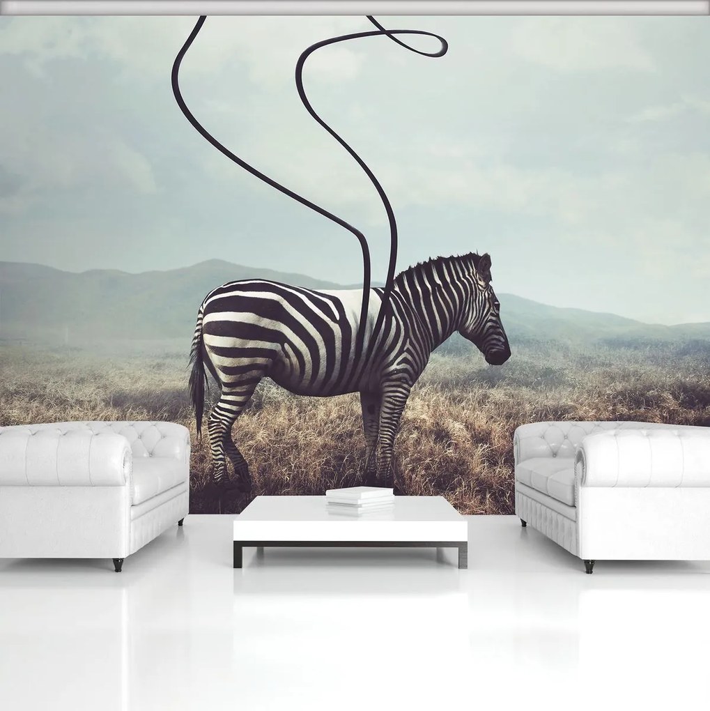 Fotótapéta - Zebra (152,5x104 cm)