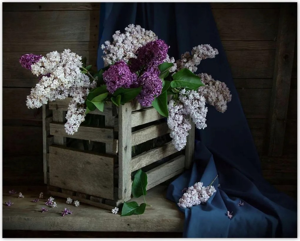 Poszterek 50x40 Doboz nélkül