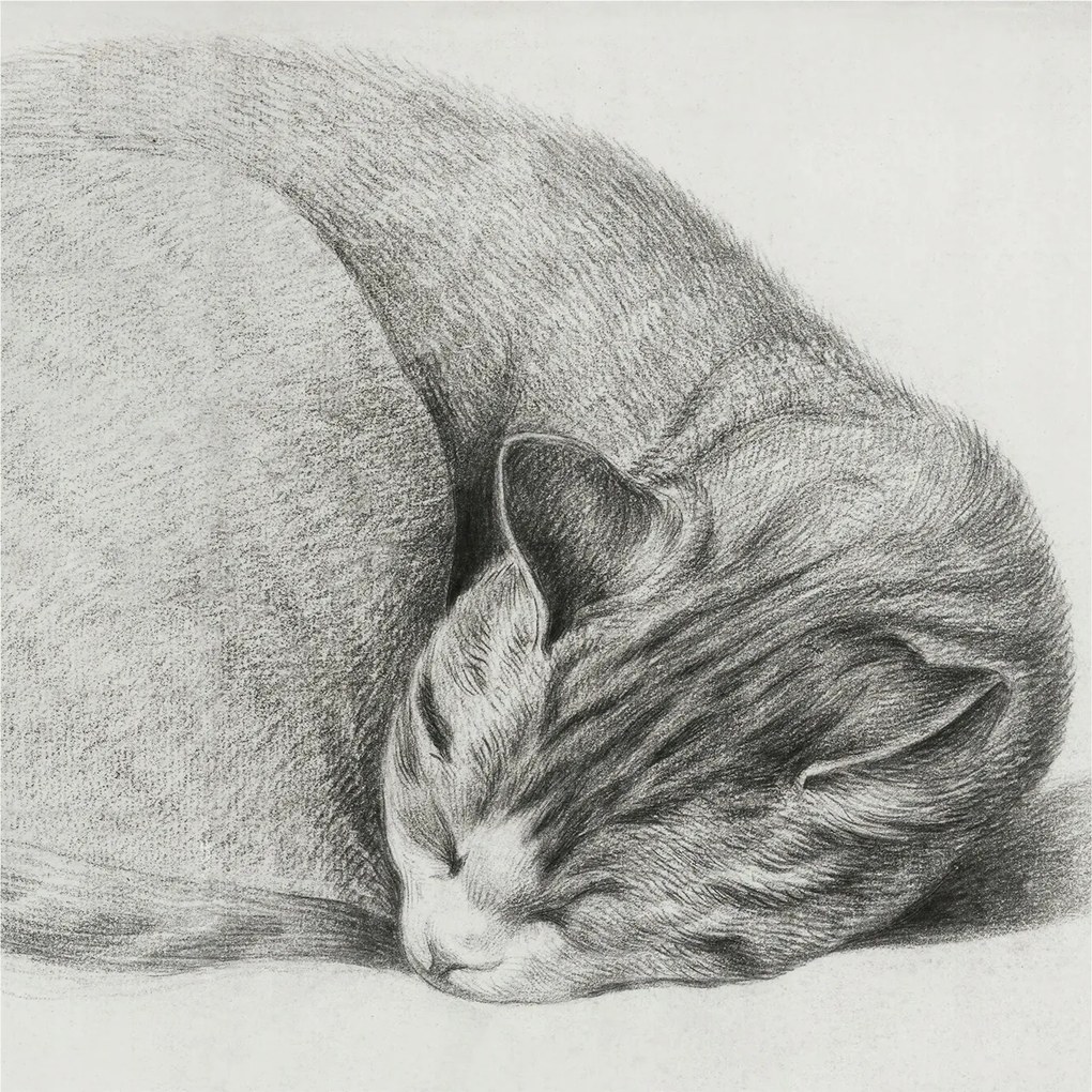 Divatos Flizelin Tapéta Ragasztóval Fali 3D Összecsukható macska 250x250 Ragasztó