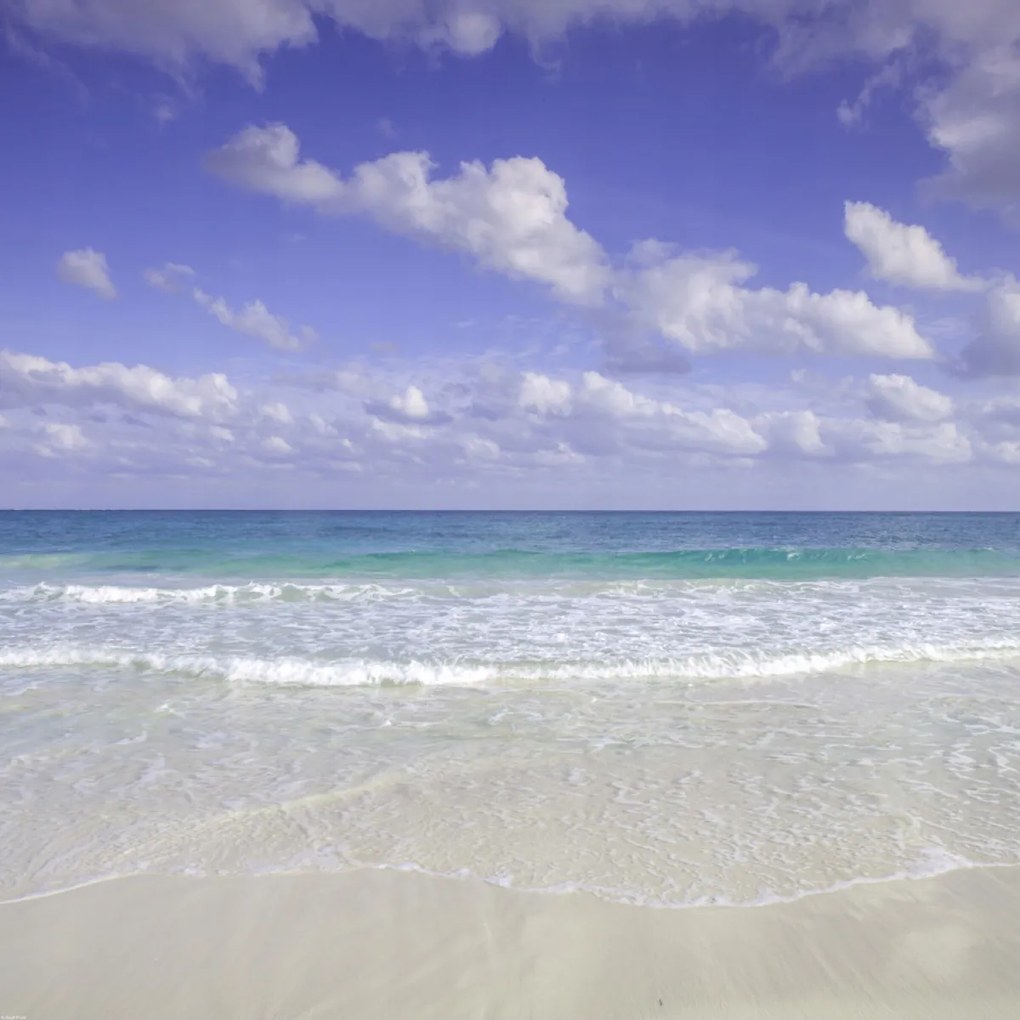 Poszter 70x70cm Cancun tengerpart, Assaf Frank