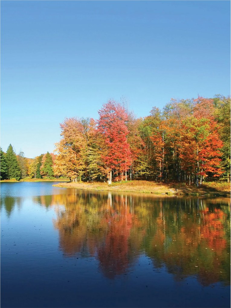 Flizelin fotótapéta Őszi tó Nyugalom és inspiráció 184x254 +ragasztó