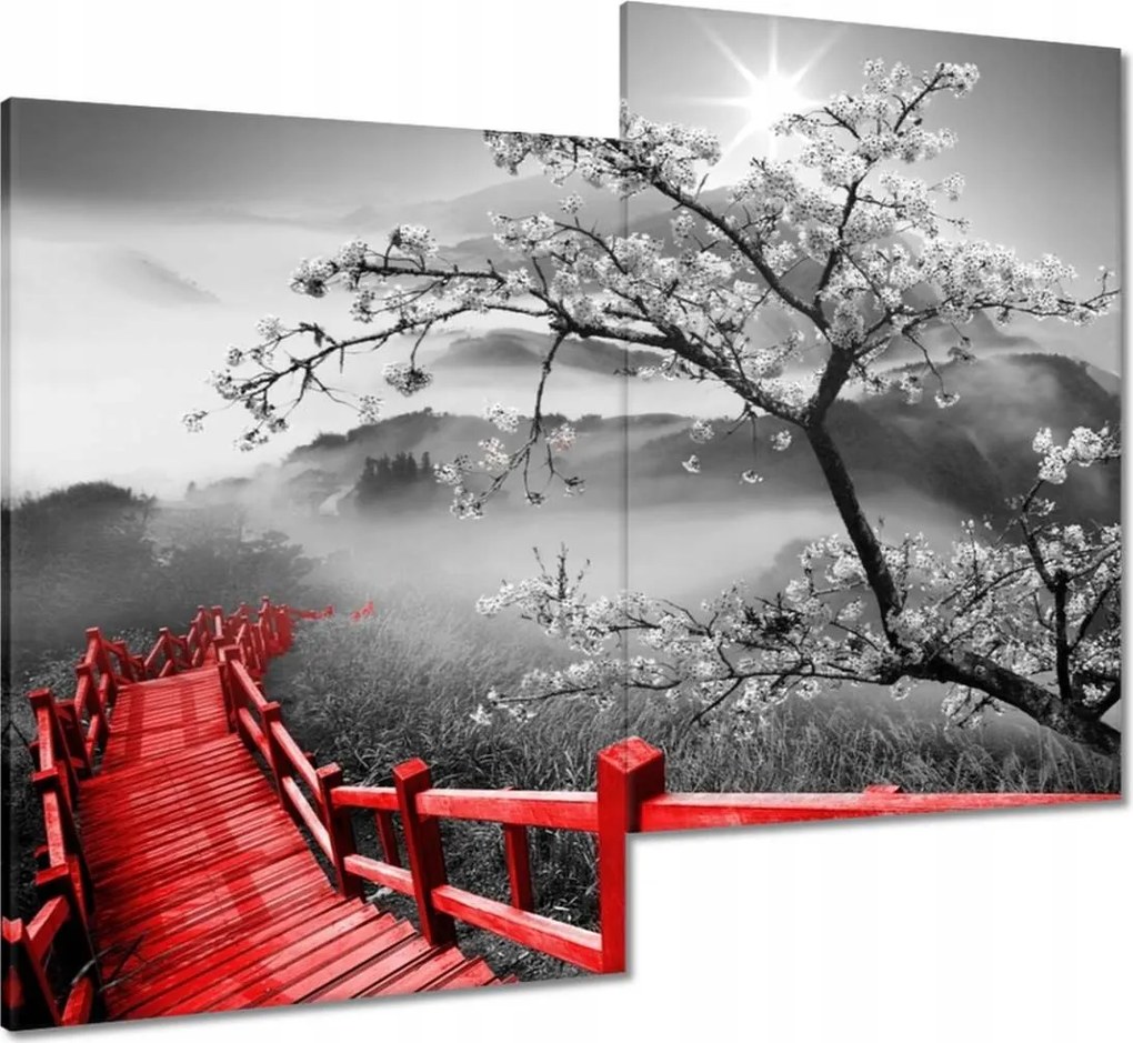 Vászonkép 80x70 Virágzó cseresznye