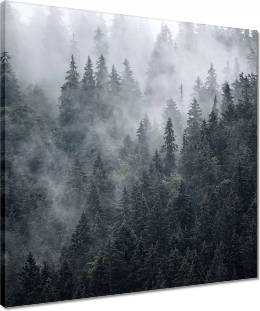 Vászonkép 50x50 Ködös hegyi táj