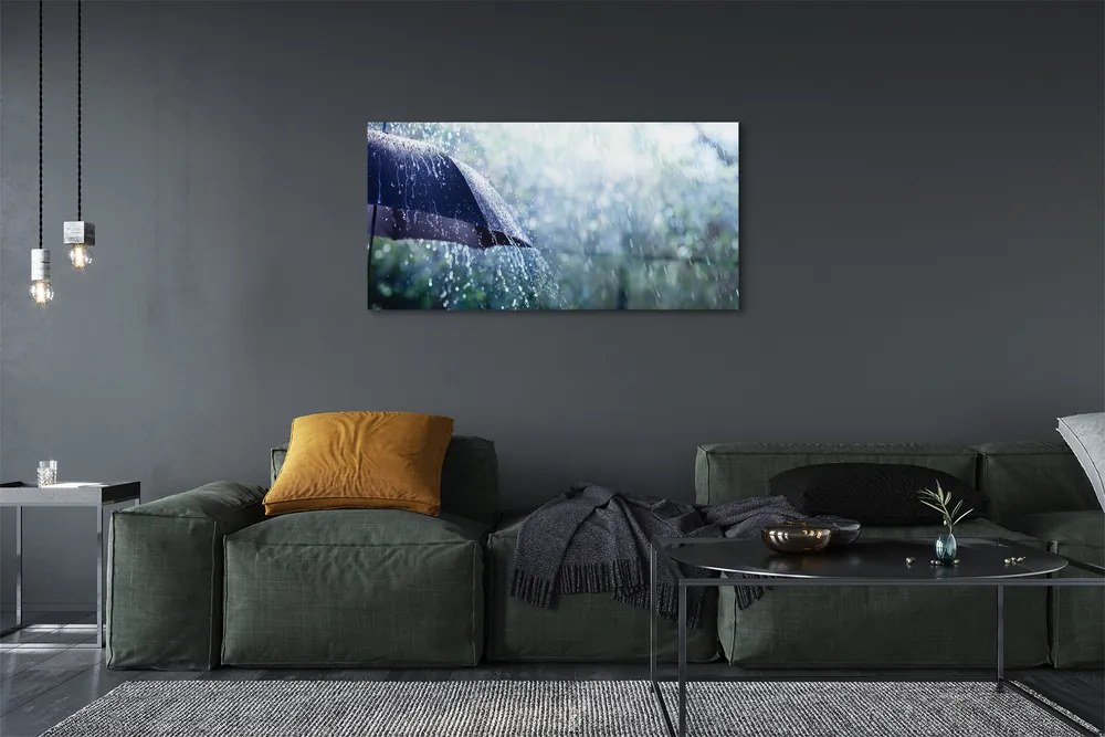 Akrilkép Esernyő eső esik 100x50 cm