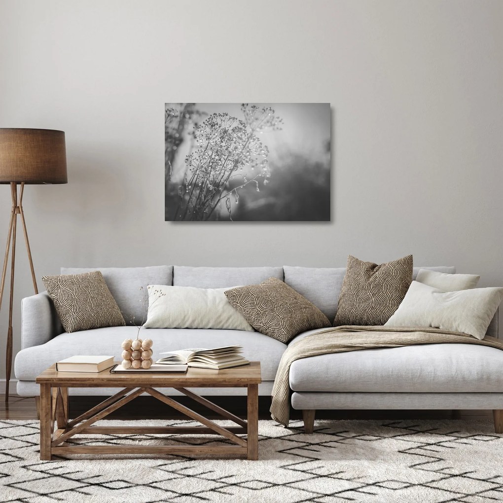 Üveg kép - Mező az eső után (70x50 cm)