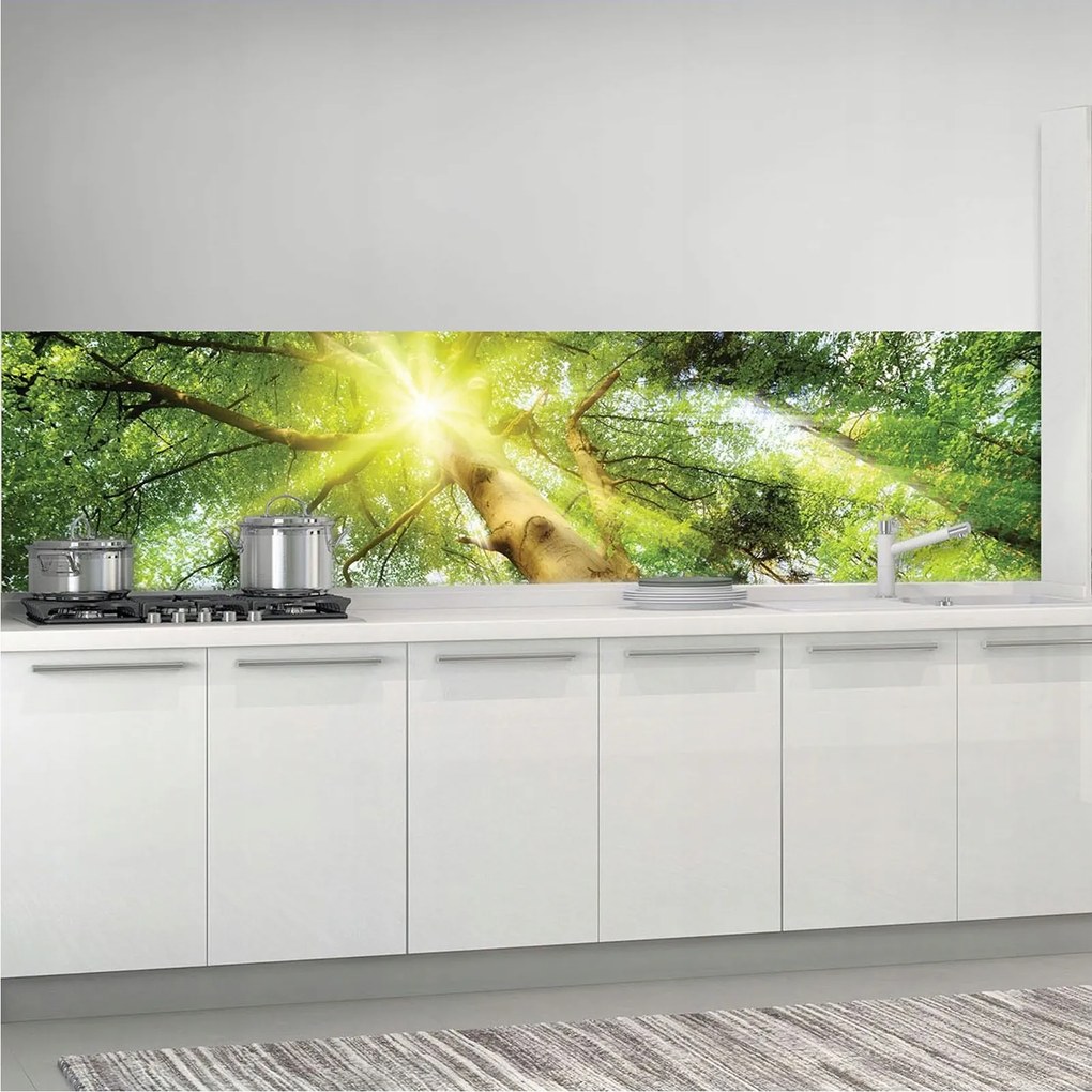 Flizelin fotótapéta Napsütötte erdő és zöld fák 250x60 +ragasztó