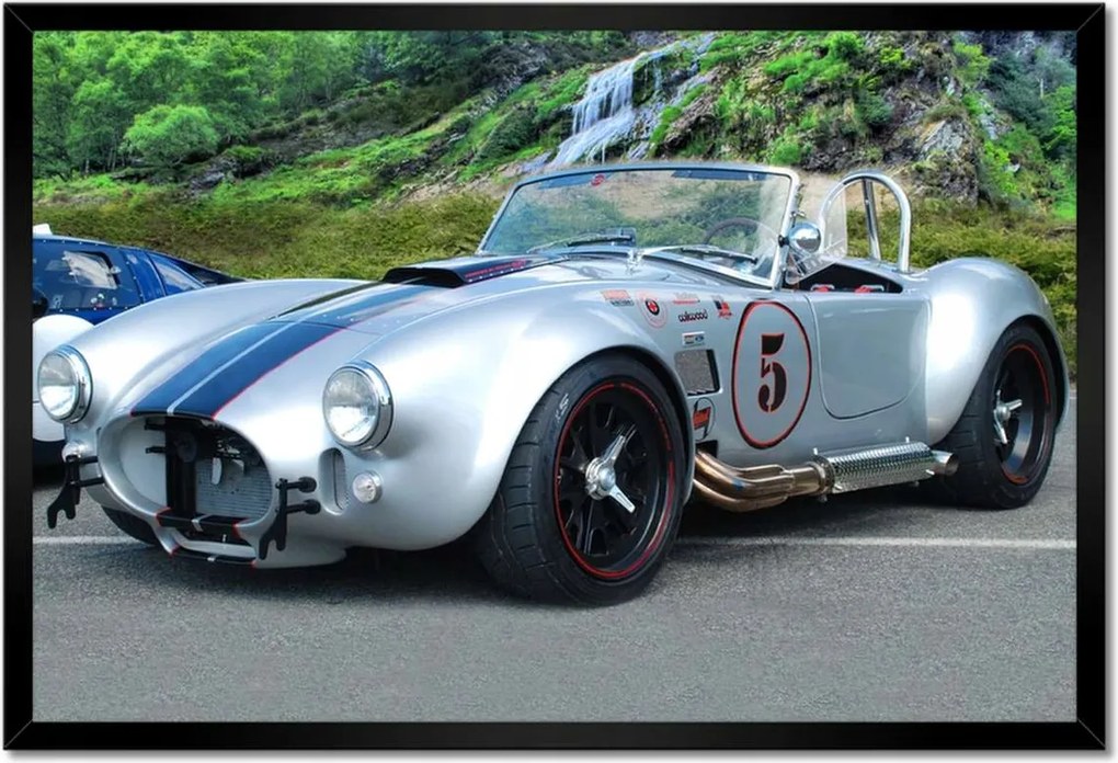 Poszterek keretben 60x40 Shelby