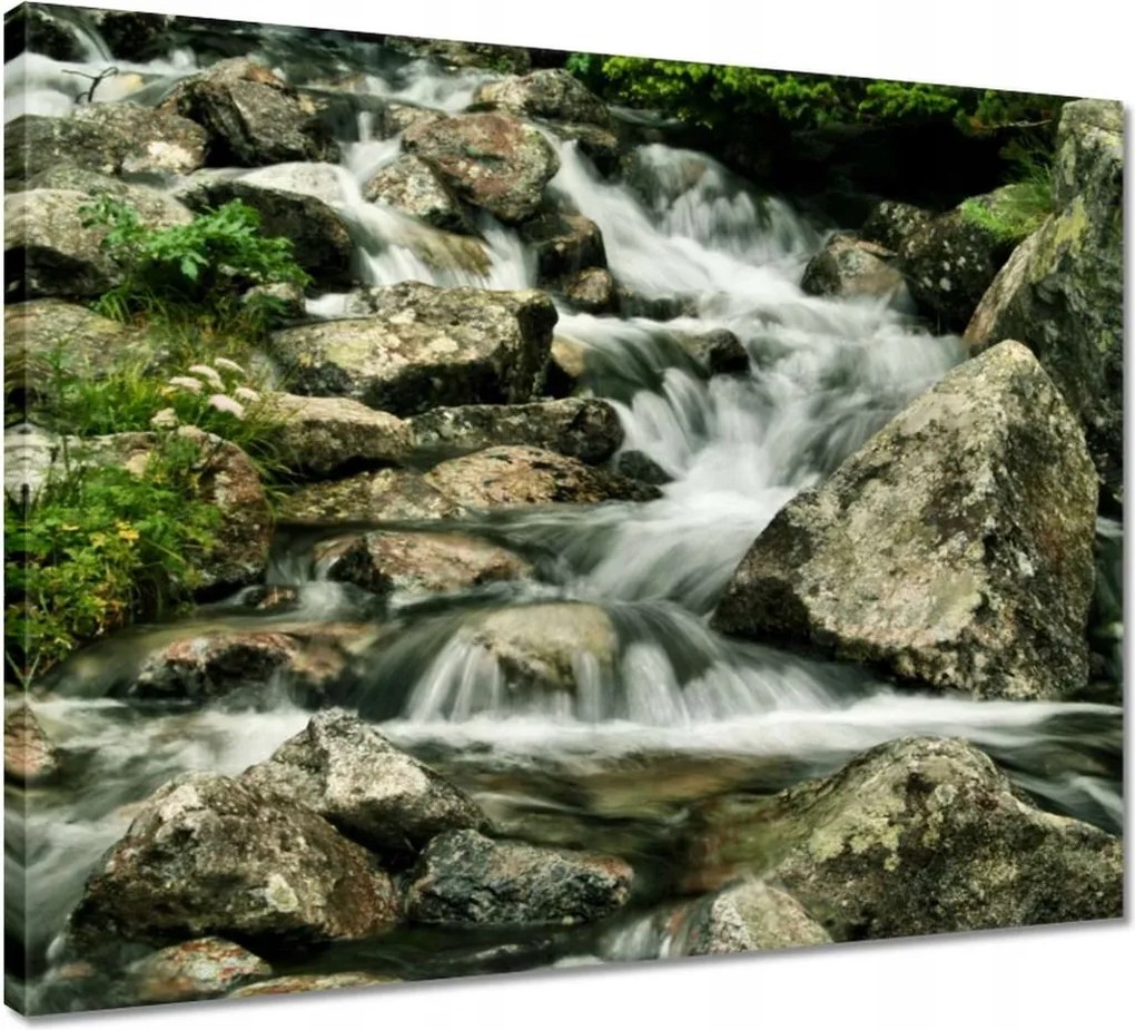 Vászonkép 50x40 Tátrai patak