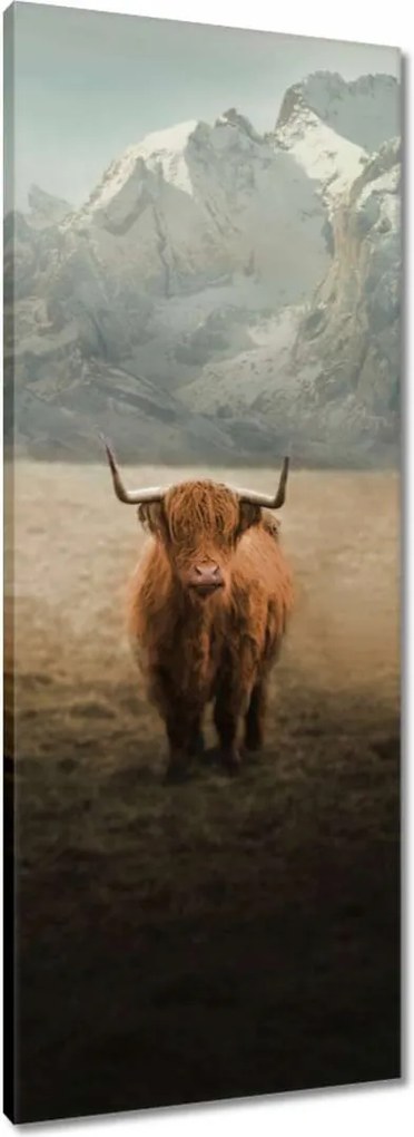 Vászonkép 40x100 Mint szarvasmarhák Szarvak