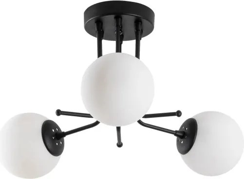 Daisy-147-AV3